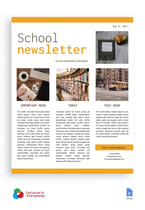 20+ Free Beautiful School Newsletter Templates in Google Docs